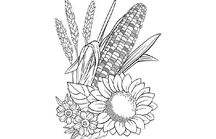 Printable_-Svqwomek_Y= Thanksgiving Pictures To Color