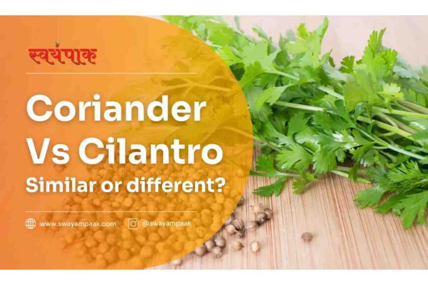 Coriander Vs. Cilantro