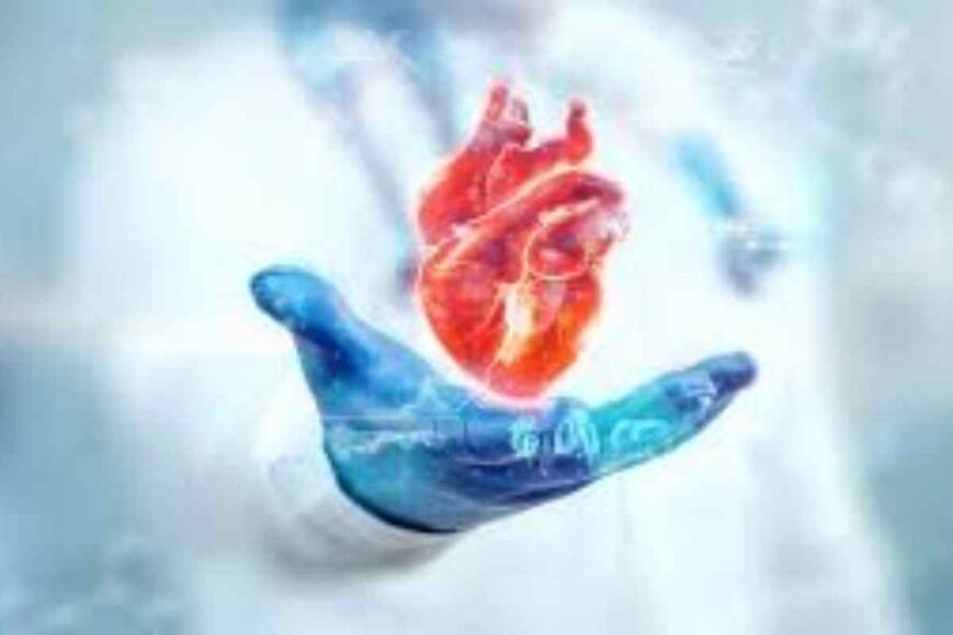 How are Hypertension, Heart Disease, and Stroke Related