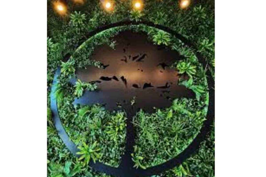 What Are Backwoods (1)