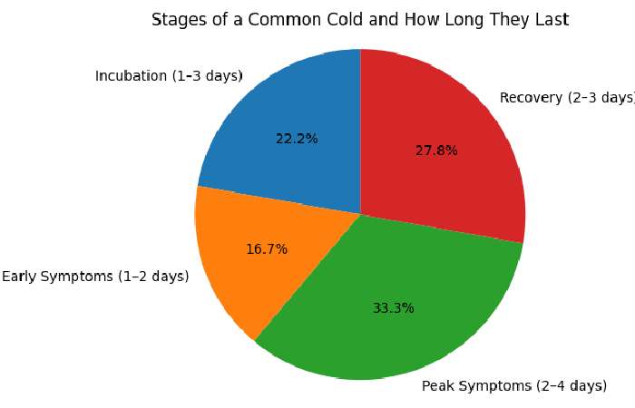 stages of most colds