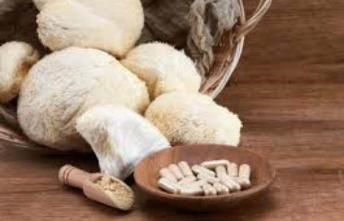 what are lion’s mane mushroom capsules_