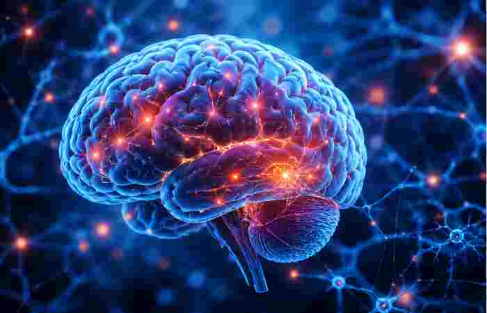 what does “laturedrianeuro” mean